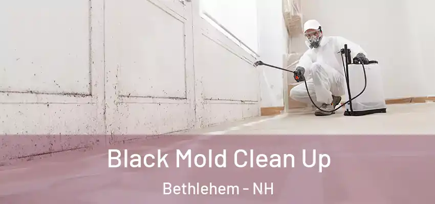 Black Mold Clean Up Bethlehem - NH