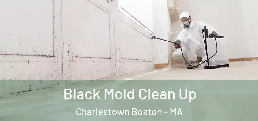 Black Mold Clean Up Charlestown Boston - MA
