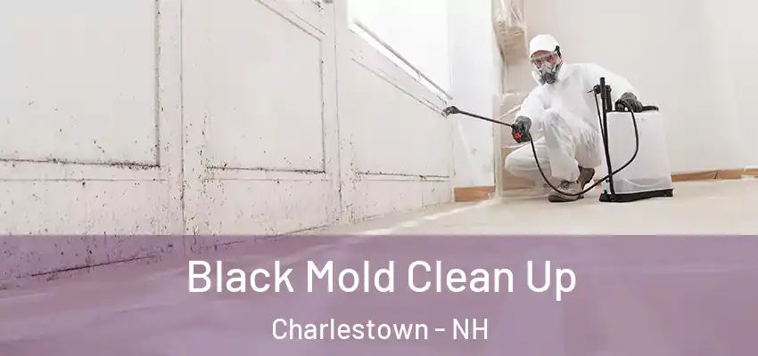 Black Mold Clean Up Charlestown - NH