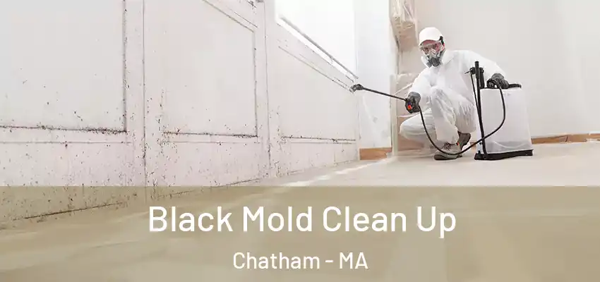 Black Mold Clean Up Chatham - MA