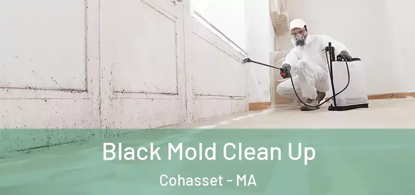 Black Mold Clean Up Cohasset - MA
