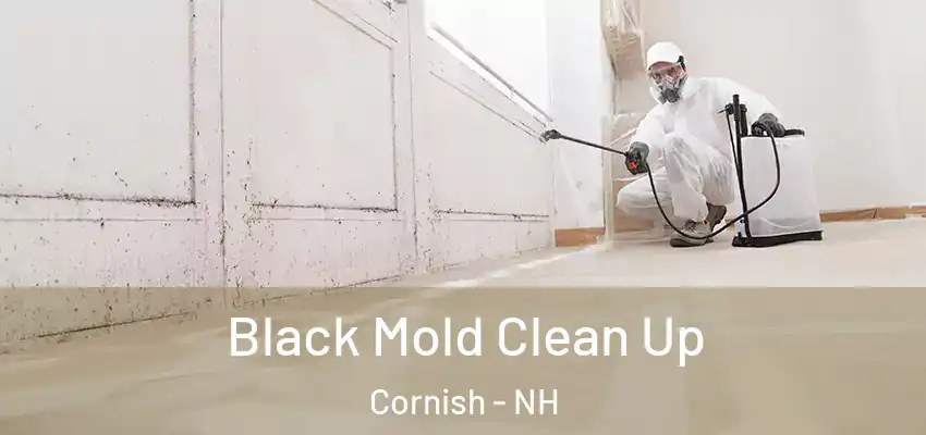  Black Mold Clean Up Cornish - NH