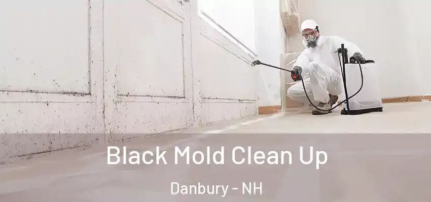 Black Mold Clean Up Danbury - NH