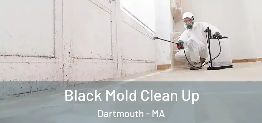  Black Mold Clean Up Dartmouth - MA