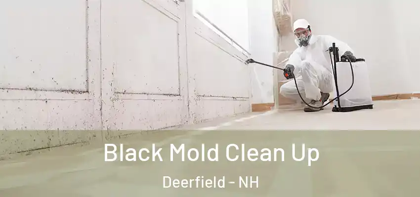 Black Mold Clean Up Deerfield - NH