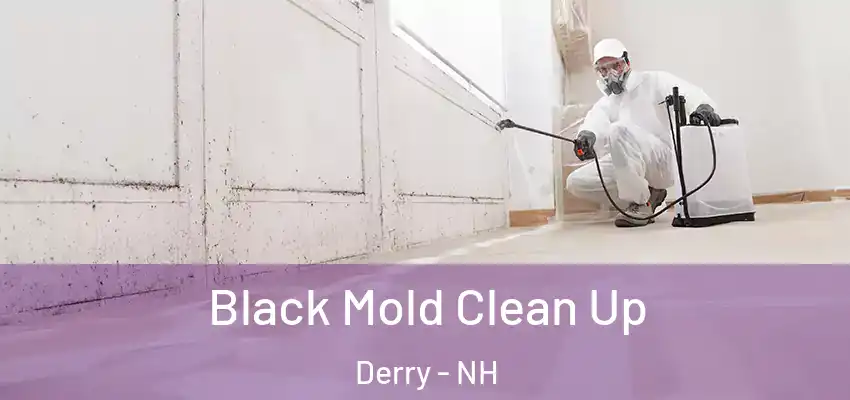  Black Mold Clean Up Derry - NH