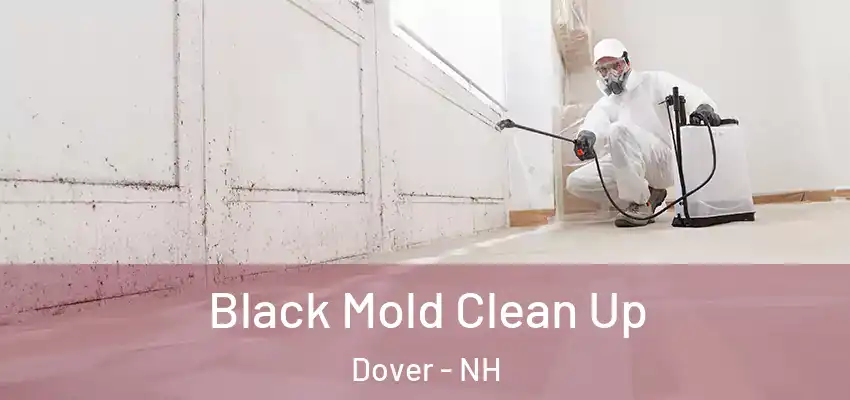 Black Mold Clean Up Dover - NH