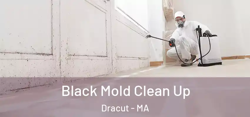 Black Mold Clean Up Dracut - MA