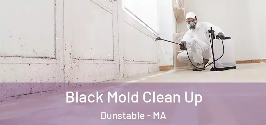  Black Mold Clean Up Dunstable - MA
