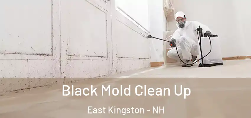  Black Mold Clean Up East Kingston - NH