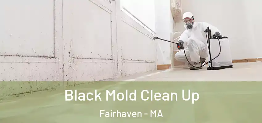Black Mold Clean Up Fairhaven - MA