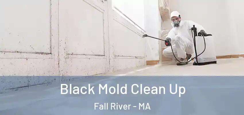 Black Mold Clean Up Fall River - MA