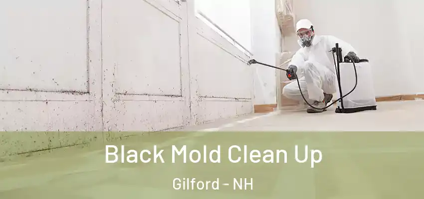  Black Mold Clean Up Gilford - NH