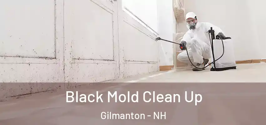  Black Mold Clean Up Gilmanton - NH