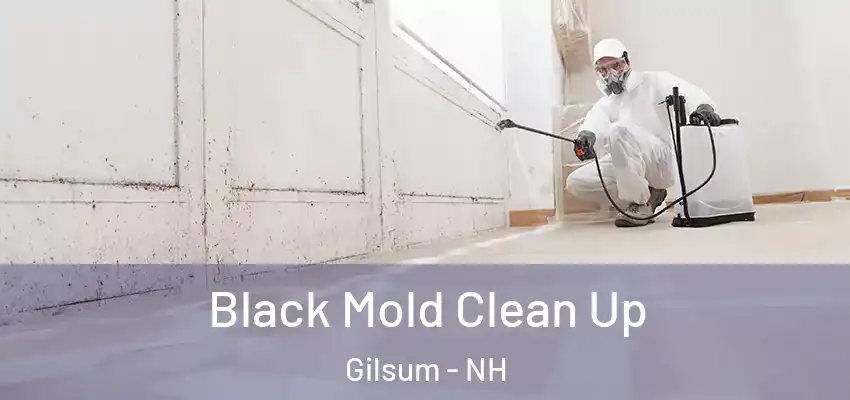 Black Mold Clean Up Gilsum - NH