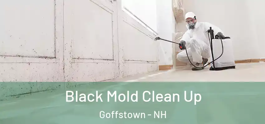 Black Mold Clean Up Goffstown - NH