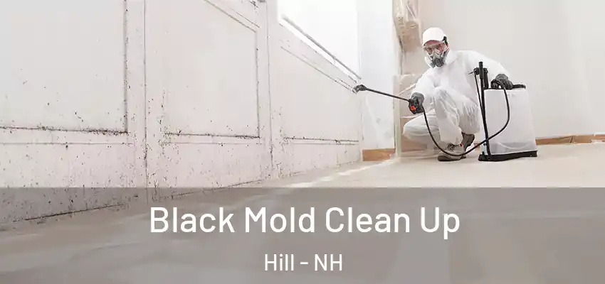  Black Mold Clean Up Hill - NH
