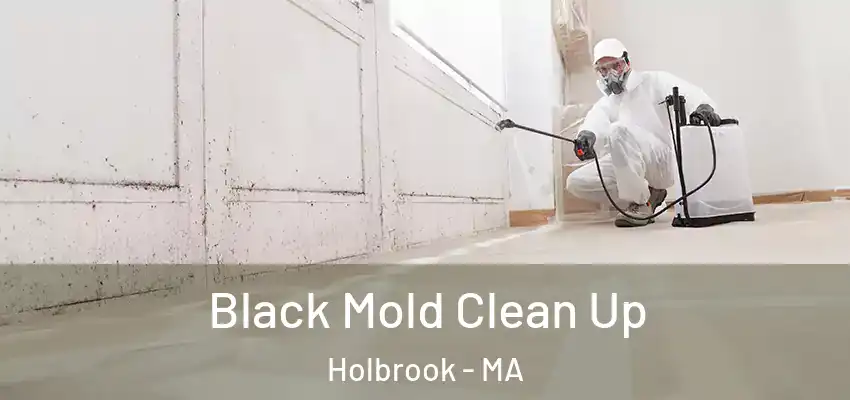 Black Mold Clean Up Holbrook - MA