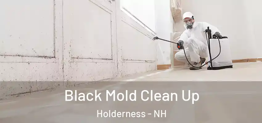 Black Mold Clean Up Holderness - NH