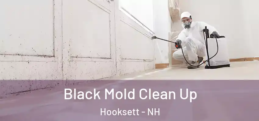 Black Mold Clean Up Hooksett - NH