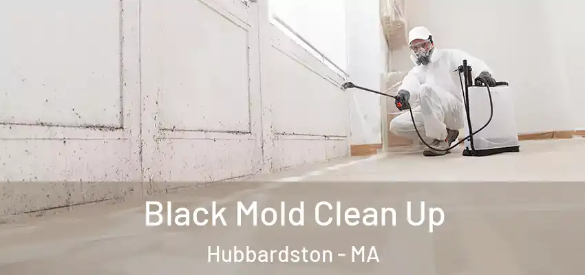 Black Mold Clean Up Hubbardston - MA