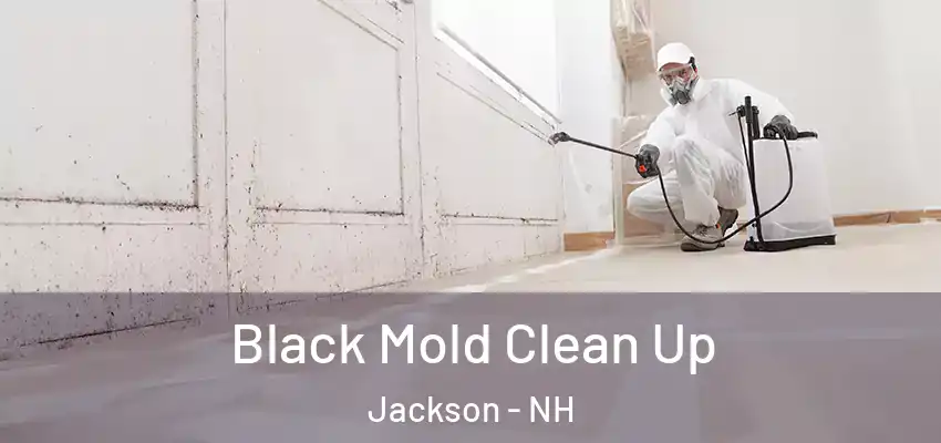  Black Mold Clean Up Jackson - NH