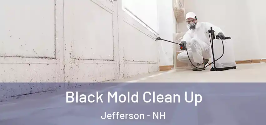 Black Mold Clean Up Jefferson - NH