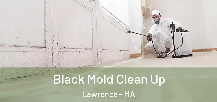  Black Mold Clean Up Lawrence - MA