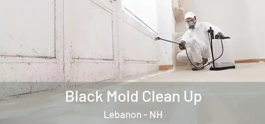 Black Mold Clean Up Lebanon - NH