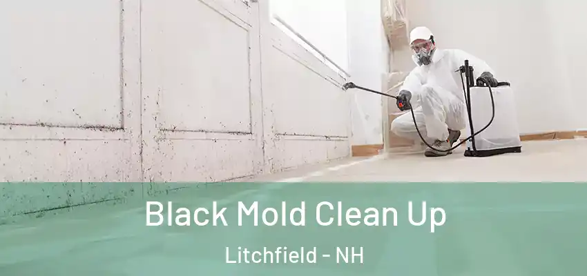 Black Mold Clean Up Litchfield - NH