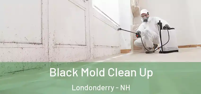 Black Mold Clean Up Londonderry - NH