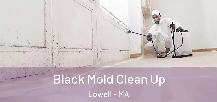 Black Mold Clean Up Lowell - MA