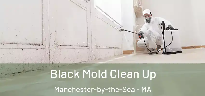 Black Mold Clean Up Manchester-by-the-Sea - MA