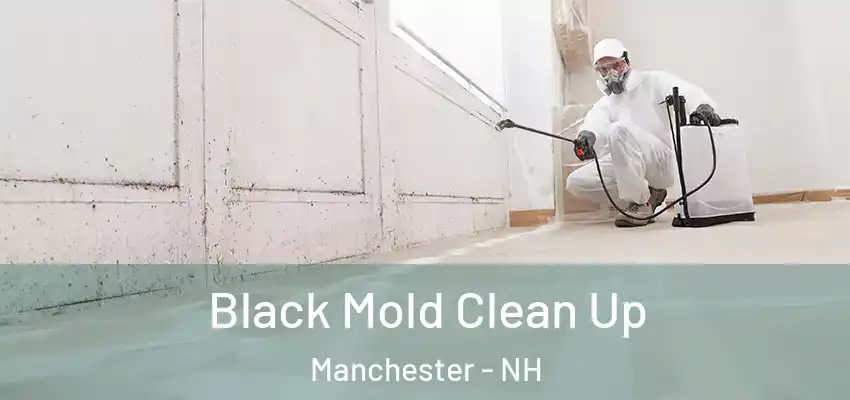 Black Mold Clean Up Manchester - NH