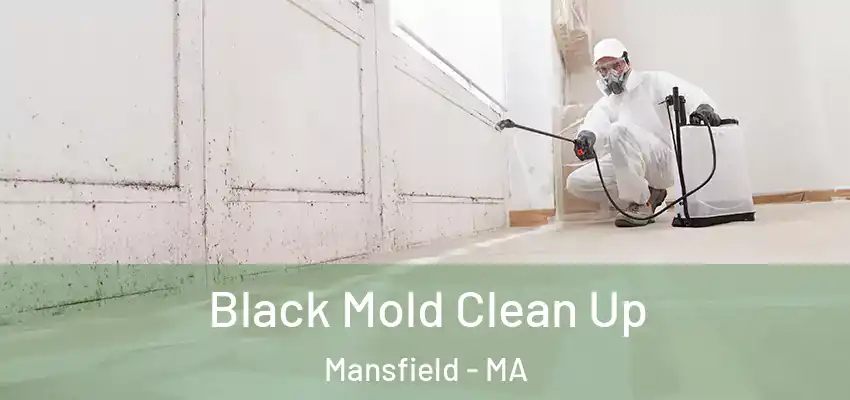 Black Mold Clean Up Mansfield - MA