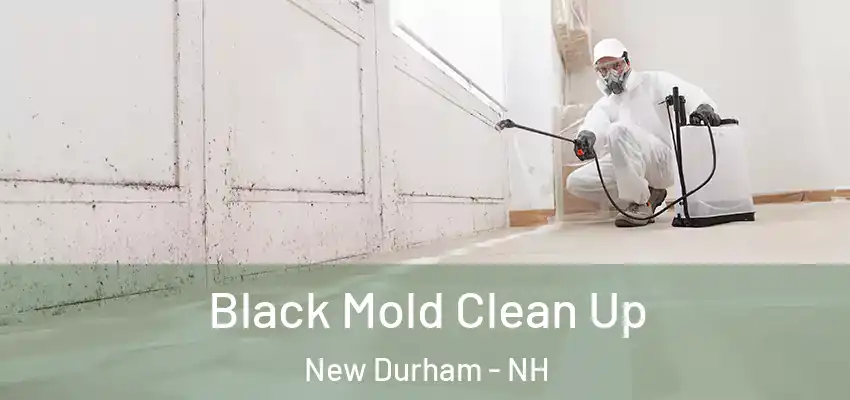 Black Mold Clean Up New Durham - NH