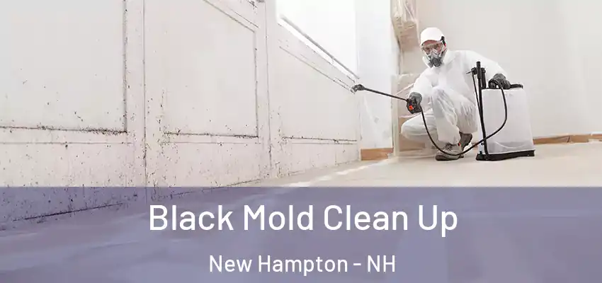  Black Mold Clean Up New Hampton - NH