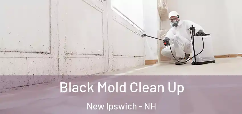 Black Mold Clean Up New Ipswich - NH