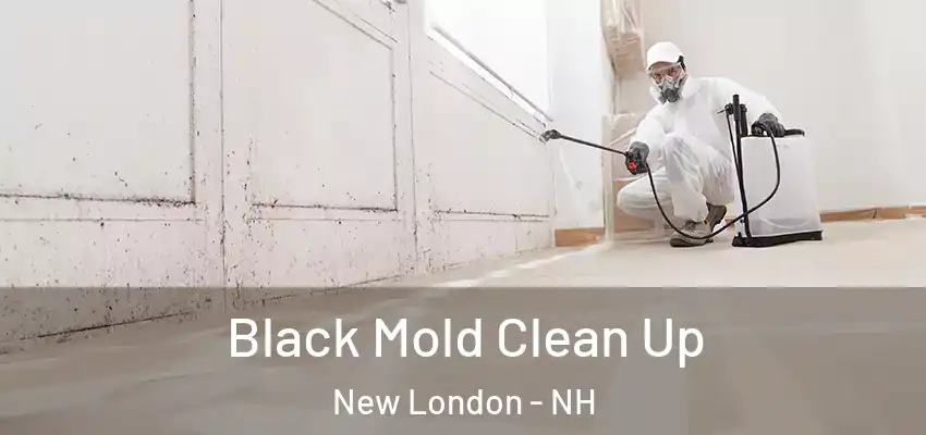 Black Mold Clean Up New London - NH