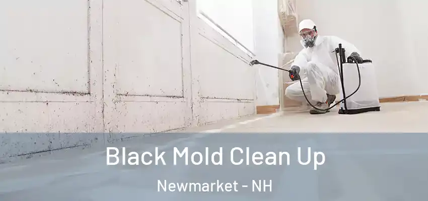  Black Mold Clean Up Newmarket - NH