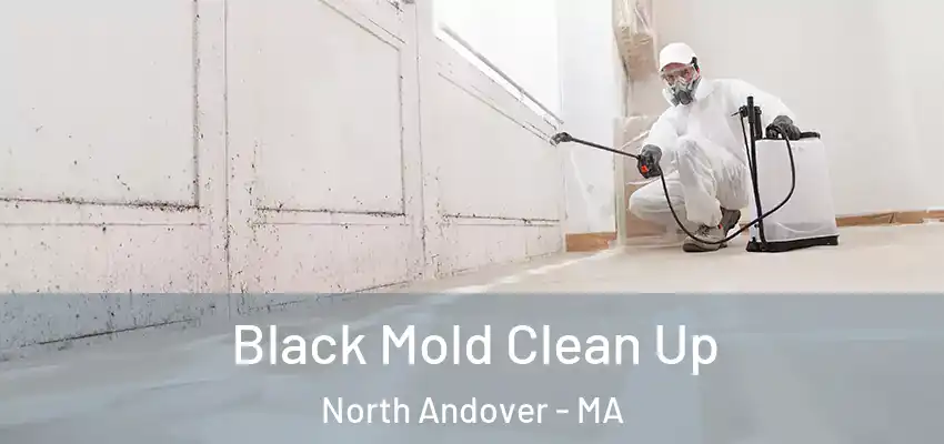  Black Mold Clean Up North Andover - MA