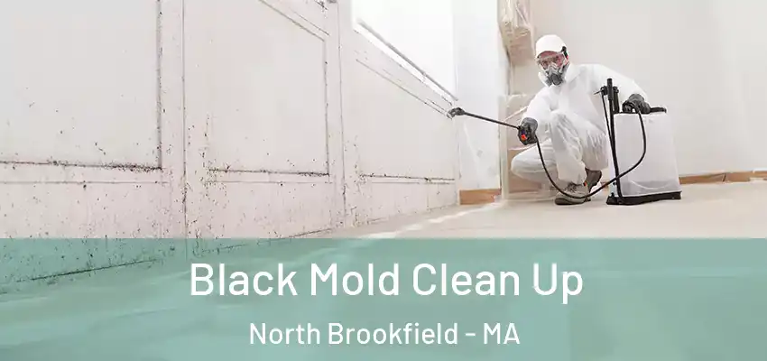 Black Mold Clean Up North Brookfield - MA