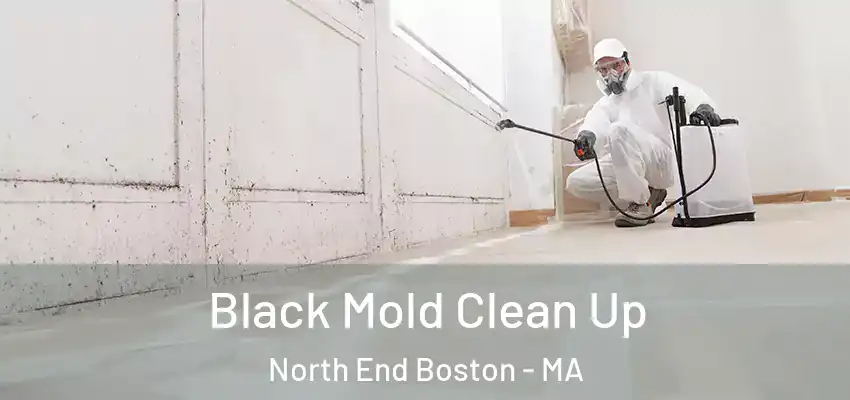  Black Mold Clean Up North End Boston - MA