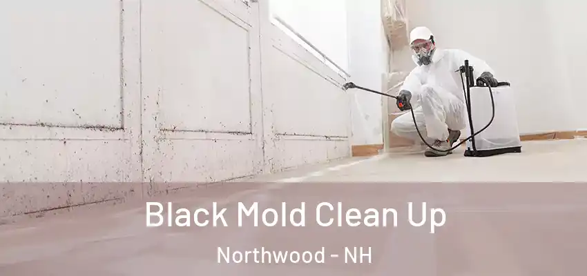 Black Mold Clean Up Northwood - NH