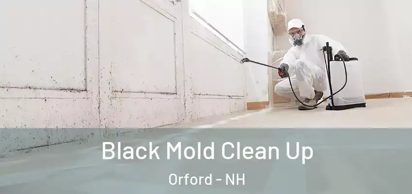  Black Mold Clean Up Orford - NH