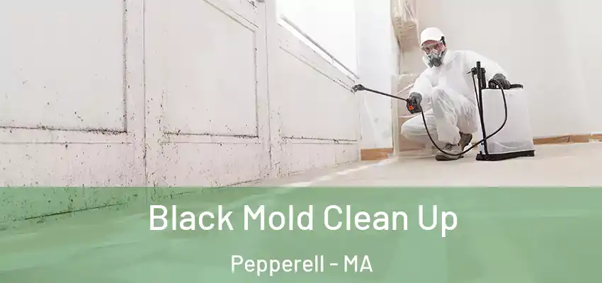Black Mold Clean Up Pepperell - MA