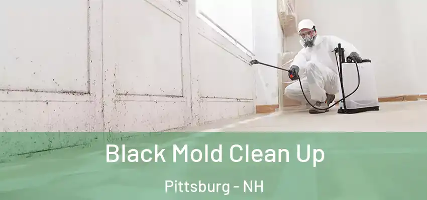 Black Mold Clean Up Pittsburg - NH