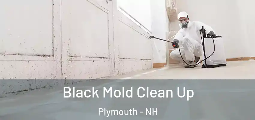  Black Mold Clean Up Plymouth - NH