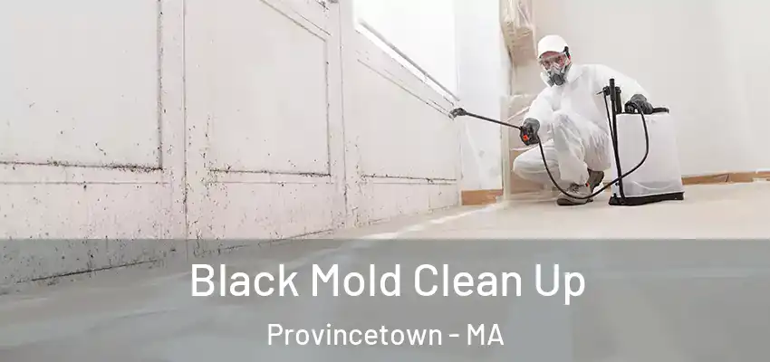  Black Mold Clean Up Provincetown - MA