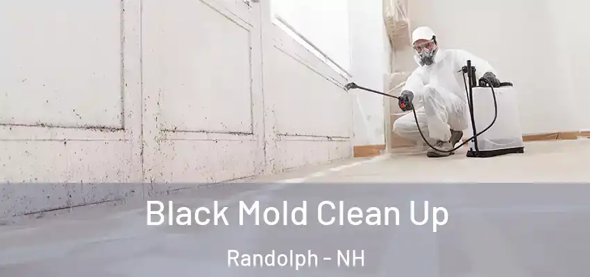 Black Mold Clean Up Randolph - NH